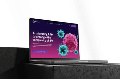 Website Design 1